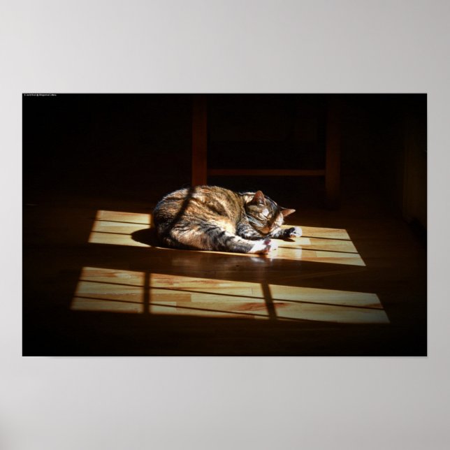 Poster Jours Lents, (Devant)