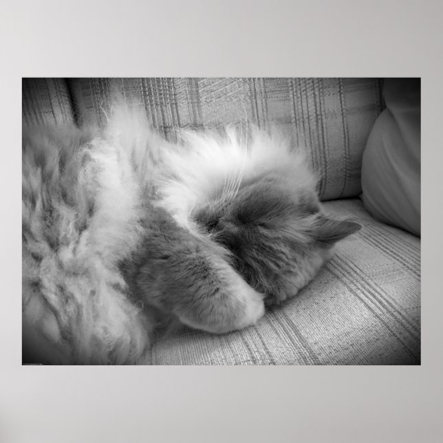 Poster Jours Lents, (Devant)