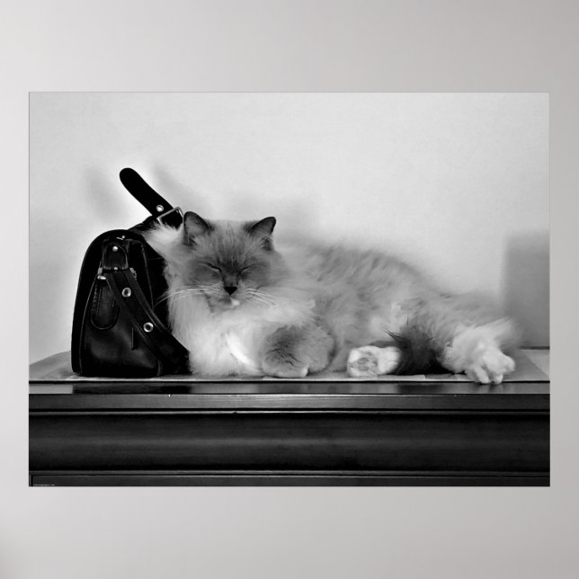 Poster Jours Lents, (Devant)