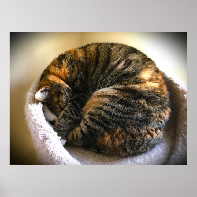 Poster Jours Lents, (Devant)