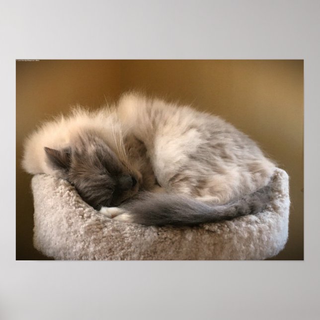 Poster Jours Lents, (Devant)