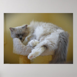 Poster Jours Lents,