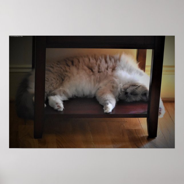 Poster Jours Lents, (Devant)