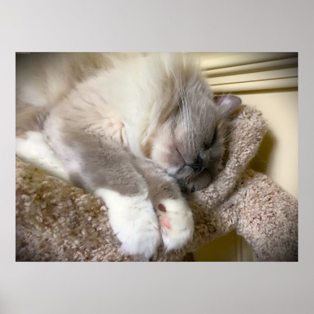 Poster Jours Lents, (Devant)