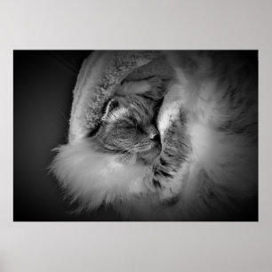 Poster Jours Lents,