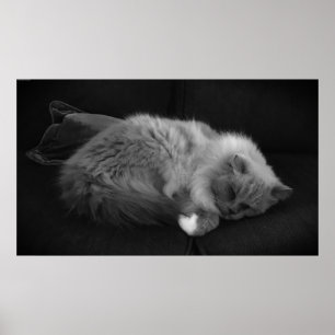 Poster Jours Lents,