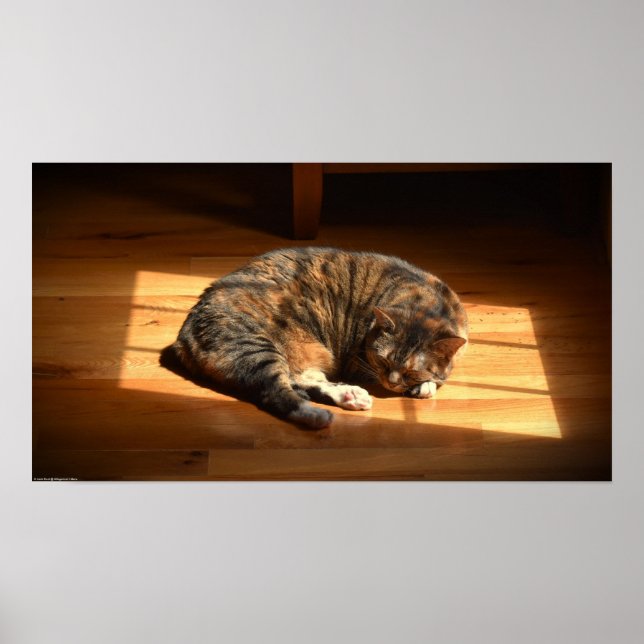 Poster Jours Lents, (Devant)