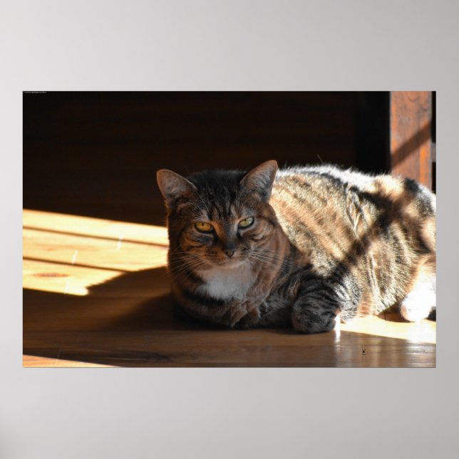 Poster Jours Lents, (Devant)