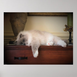 Poster Jours Lents,