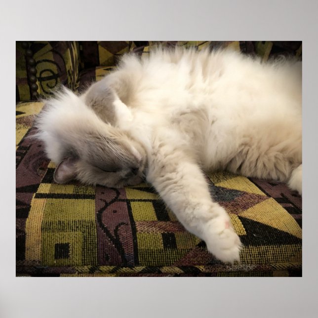 Poster Jours Lents, (Devant)