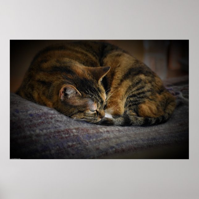 Poster Jours Lents, (Devant)