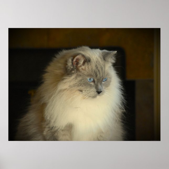 Poster Jours Lents, (Devant)