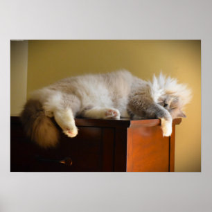 Poster Jours Lents,