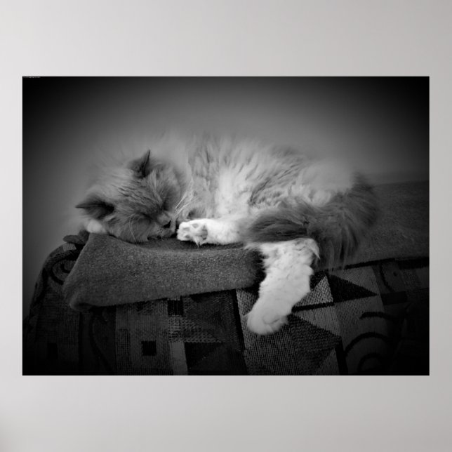 Poster Jours Lents, (Devant)