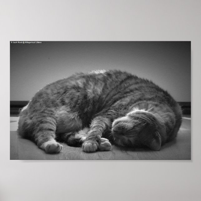 Poster Jours Lents, (Devant)