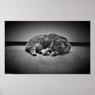 Poster Jours Lents,