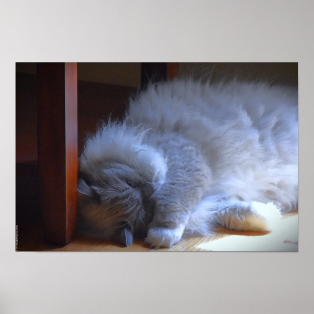 Poster Jours Lents, (Devant)