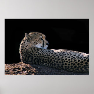 Poster Jours paresseux