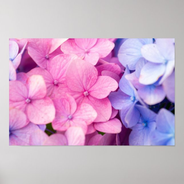 Poster Jours pluvieux (Devant)