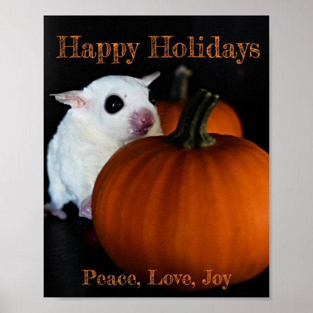 Poster Joyeuses fêtes (Devant)