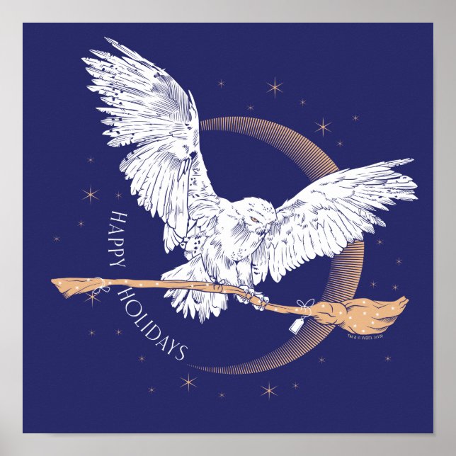 Poster Joyeuses fêtes Livraison Hedwig (Devant)