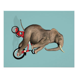 Poster Joyeux Éléphant Sur Tricycle