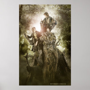 Poster Joyeux et Peregrin sur la barbe