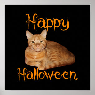 Poster Joyeux Halloween non effrayant Tabby orange chat