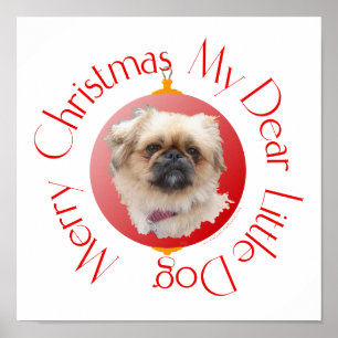 Poster Joyeux Noël Pékinois