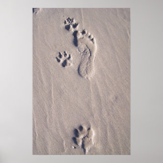 Poster Joyeux pied