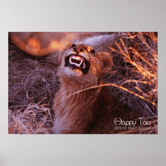 Poster Joyeux Tau (Devant)