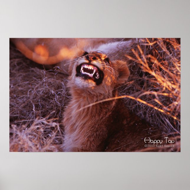 Poster Joyeux Tau, Lion Cub souriant (Devant)