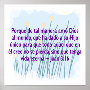 Poster Juan 3:16