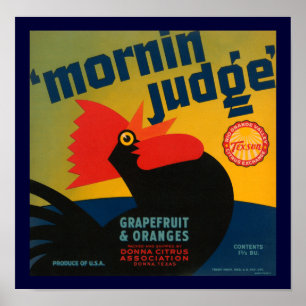 Poster Juge Mornin