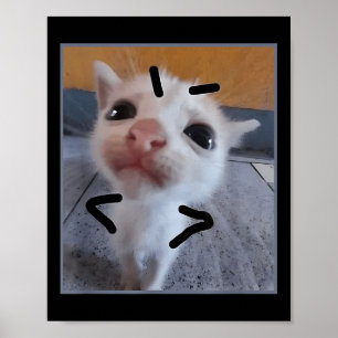 Poster Jugement Kitty Funny Amoureux des chats Angry Kitt