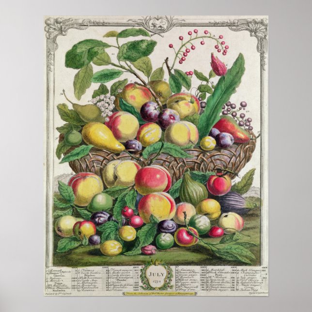 Poster Juillet, "Douze mois de fruits" (Devant)