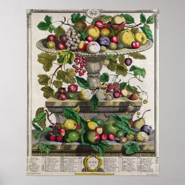 Poster Juin, "Douze mois de fruits" (Devant)