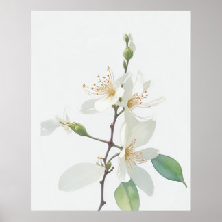 Poster Juin Fleur de naissance