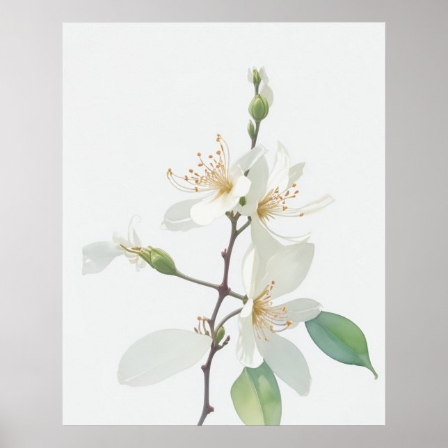 Poster Juin Fleur de naissance (Devant)