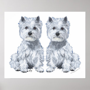 Poster Jumeaux Terrier West Highland White !