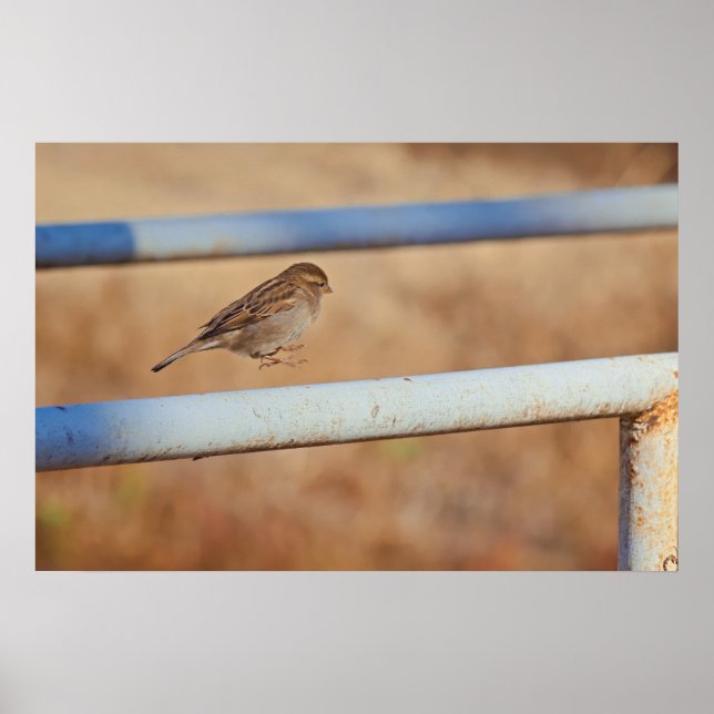 Poster Jump (Devant)