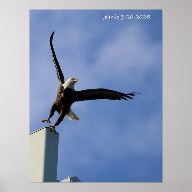 Poster Jumping Eagle (Devant)