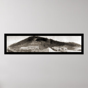 Poster Juneau, photo 1914 de crique de moutons d'AK