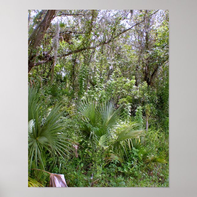 Poster Jungle (Devant)