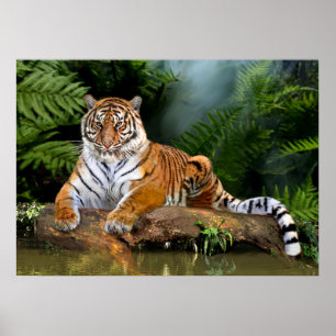 POSTER JUNGLE TIGER
