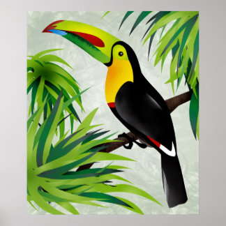 Poster Jungle Toucan