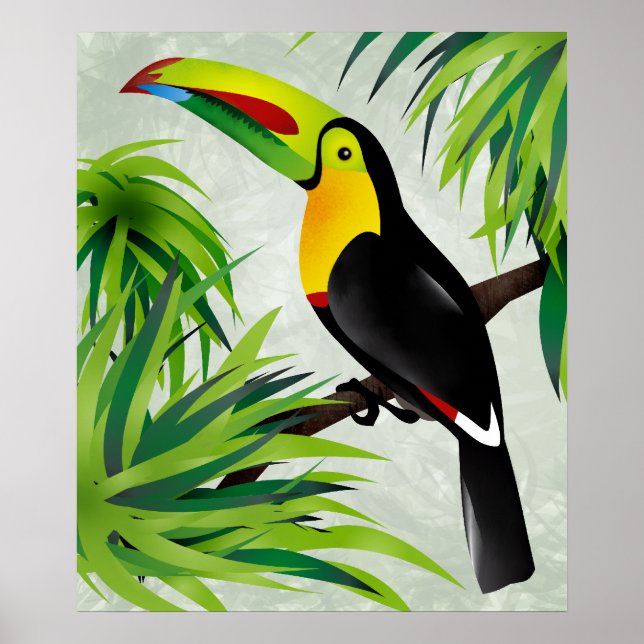 Poster Jungle Toucan (Devant)