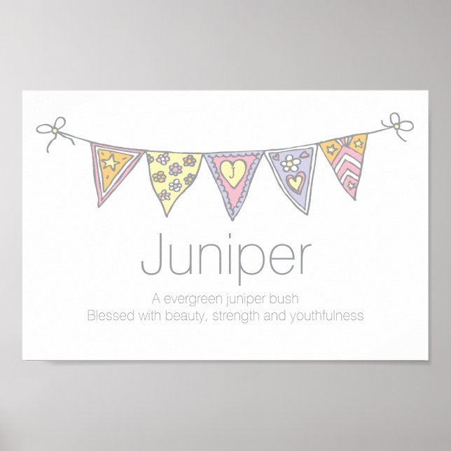 Poster Juniper Girls nom et signification de l'affiche de (Devant)