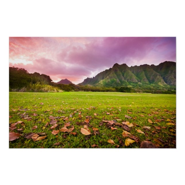 Poster Jurassic Sunset (Devant)