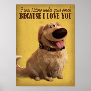 Poster JUSQU' Creusez le chien dans le cône de la honte
